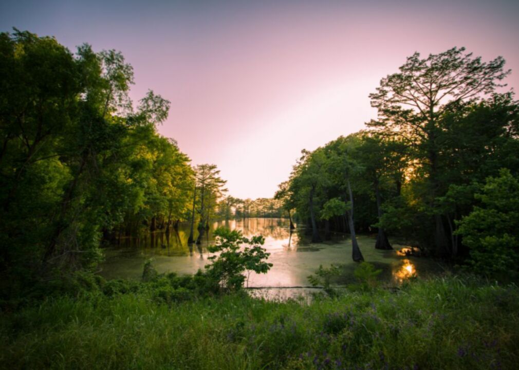 #49. Mississippi